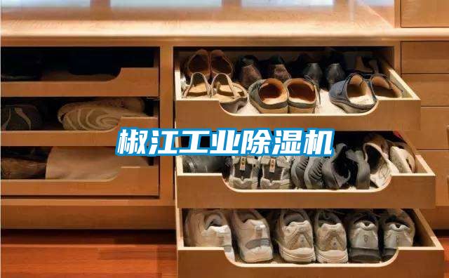 椒江工業除濕機