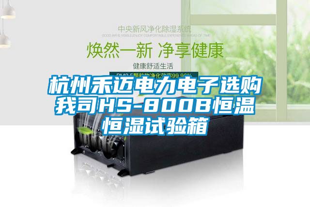 杭州禾邁電力電子選購(gòu)我司HS-800B恒溫恒濕試驗(yàn)箱