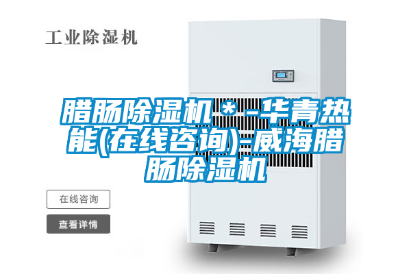 臘腸除濕機*-華青熱能(在線咨詢)-威海臘腸除濕機