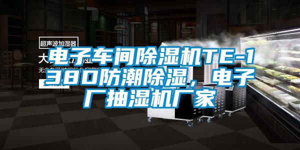 電子車間除濕機(jī)TE-138D防潮除濕,電子廠抽濕機(jī)廠家