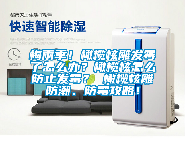 梅雨季!橄欖核雕發霉了怎么辦?橄欖核怎么防止發霉? 橄欖核雕防潮、防霉攻略!