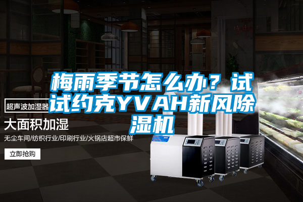 梅雨季節怎么辦?試試約克YVAH新風除濕機