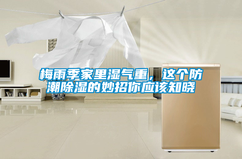 梅雨季家里濕氣重,這個防潮除濕的妙招你應(yīng)該知曉