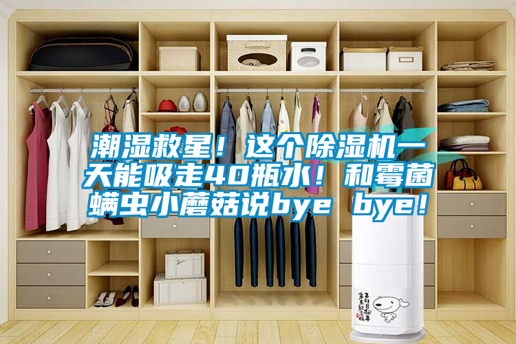 潮濕救星!這個(gè)除濕機(jī)一天能吸走40瓶水!和霉菌螨蟲小蘑菇說bye bye!