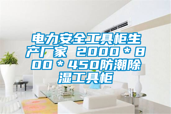 電力安全工具柜生產廠家 2000*800*450防潮除濕工具柜
