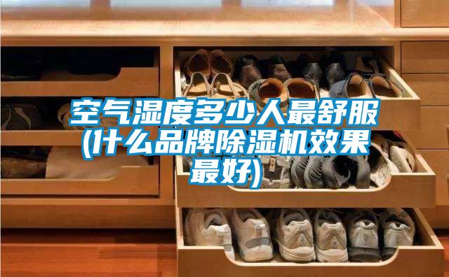 空氣濕度多少人最舒服(什么品牌除濕機(jī)效果最好)