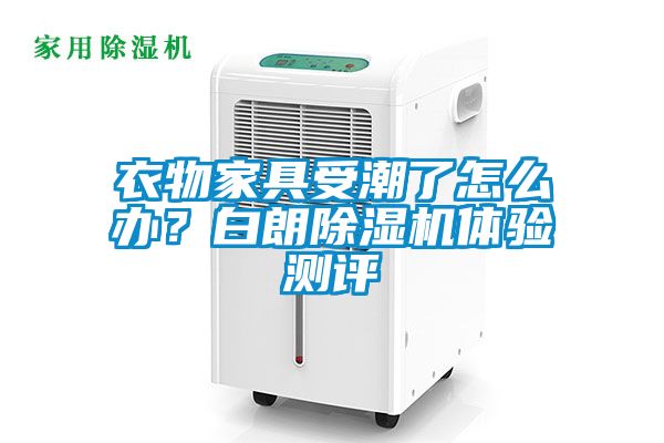 衣物家具受潮了怎么辦?白朗除濕機體驗測評