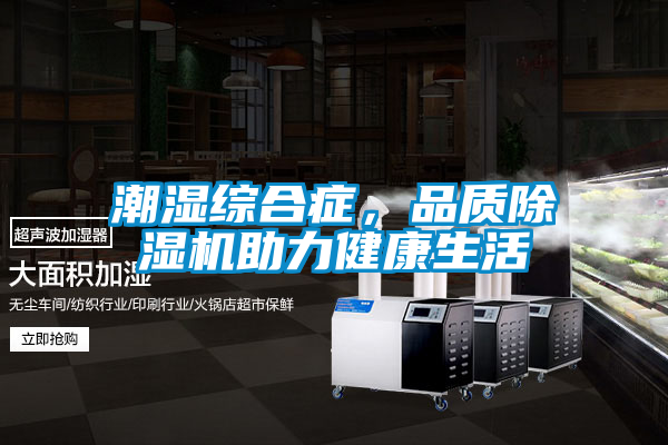 潮濕綜合癥，品質除濕機助力健康生活
