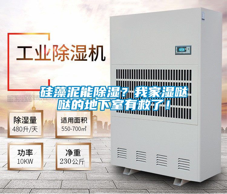 硅藻泥能除濕?我家濕噠噠的地下室有救了!