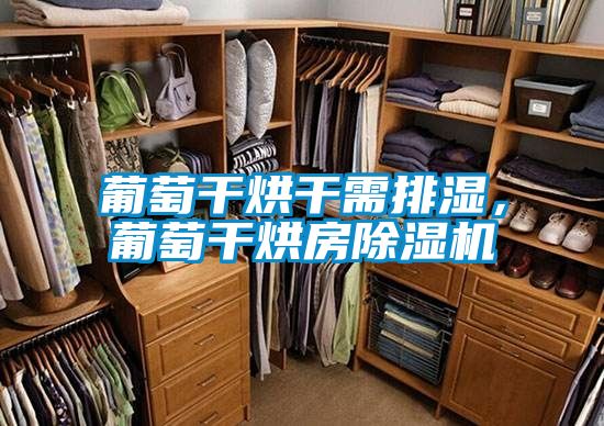 葡萄干烘干需排濕,葡萄干烘房除濕機