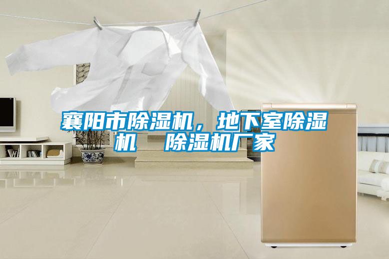 襄陽市除濕機(jī),地下室除濕機(jī) 除濕機(jī)廠家