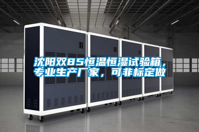 沈陽雙85恒溫恒濕試驗箱，專業生產廠家，可非標定做