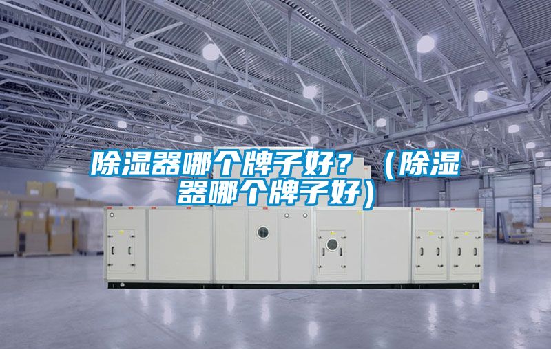 除濕器哪個牌子好？（除濕器哪個牌子好）