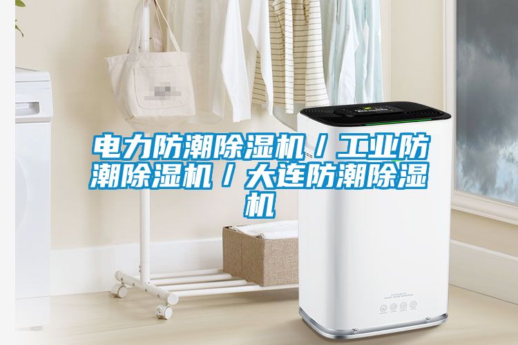 電力防潮除濕機/工業(yè)防潮除濕機/大連防潮除濕機