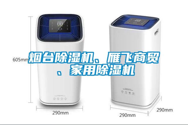 煙臺(tái)除濕機(jī)、雁飛商貿(mào)、家用除濕機(jī)