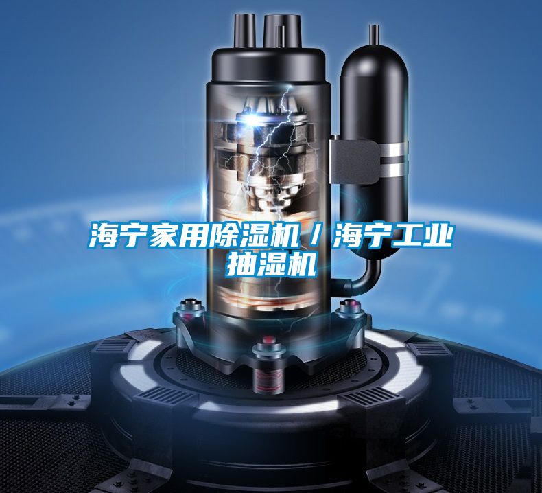 海寧家用除濕機/海寧工業(yè)抽濕機