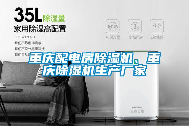 重慶配電房除濕機(jī)、重慶除濕機(jī)生產(chǎn)廠家