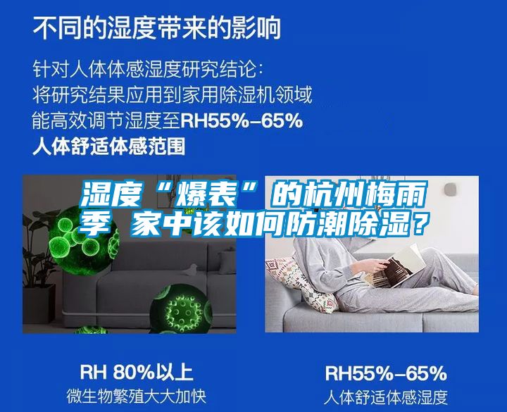 濕度“爆表”的杭州梅雨季 家中該如何防潮除濕?