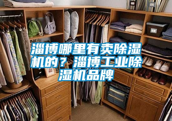 淄博哪里有賣除濕機的?淄博工業除濕機品牌