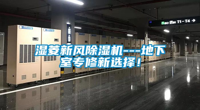 濕菱新風除濕機---地下室專修新選擇!