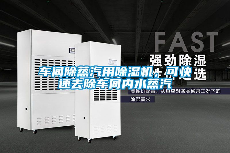 車間除蒸汽用除濕機(jī),可快速去除車間內(nèi)水蒸汽