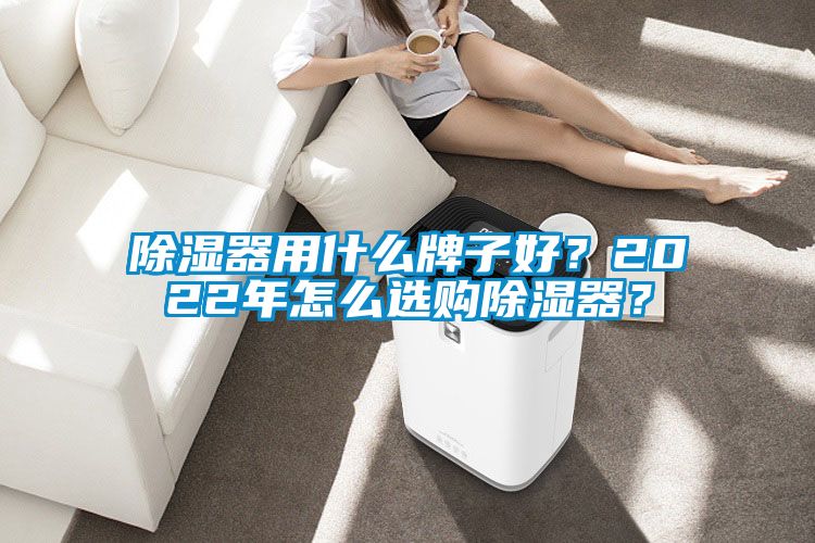 除濕器用什么牌子好?2022年怎么選購除濕器?