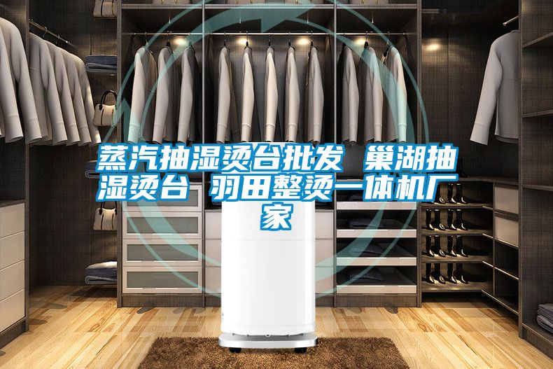蒸汽抽濕燙臺批發 巢湖抽濕燙臺 羽田整燙一體機廠家