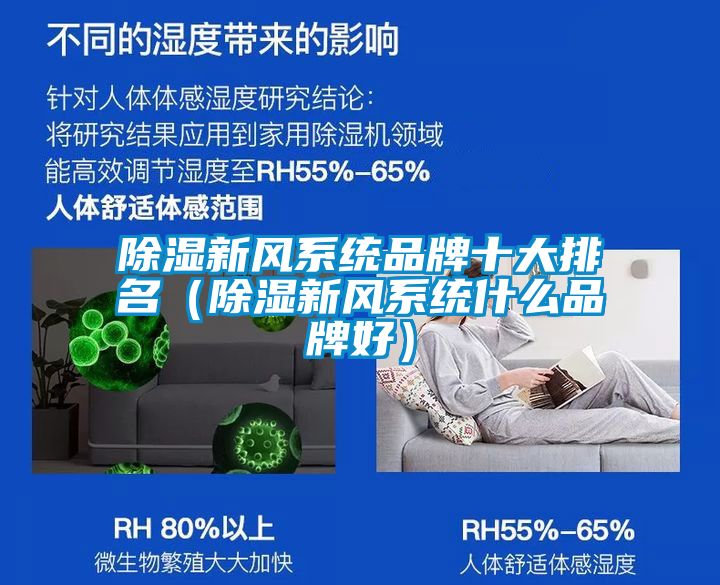除濕新風(fēng)系統(tǒng)品牌十大排名(除濕新風(fēng)系統(tǒng)什么品牌好)
