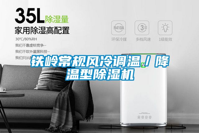 鐵嶺常規風冷調溫/降溫型除濕機