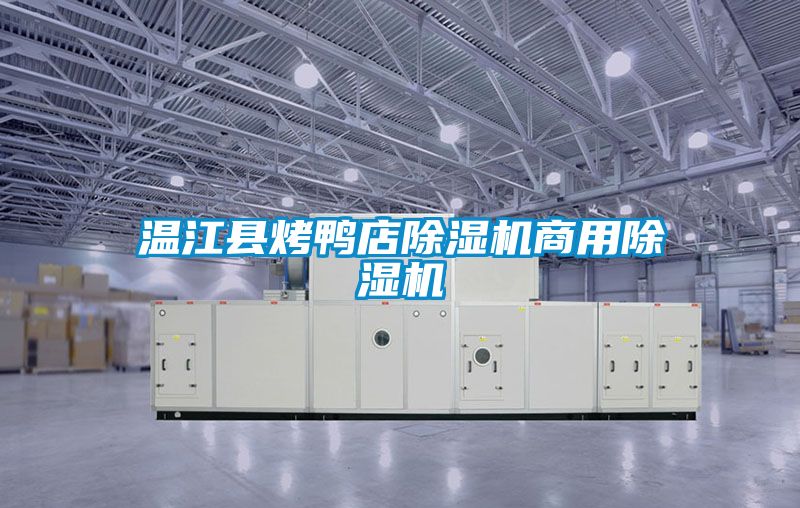 溫江縣烤鴨店除濕機商用除濕機