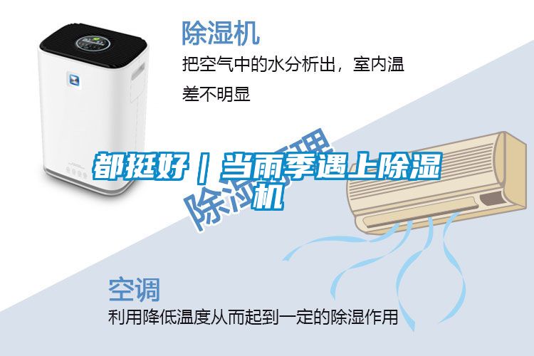 都挺好|當(dāng)雨季遇上除濕機(jī)
