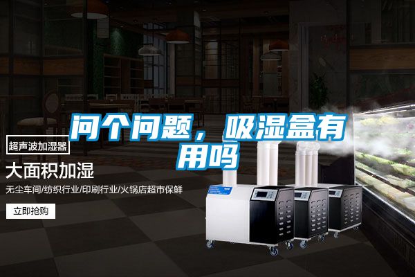 問個問題,吸濕盒有用嗎