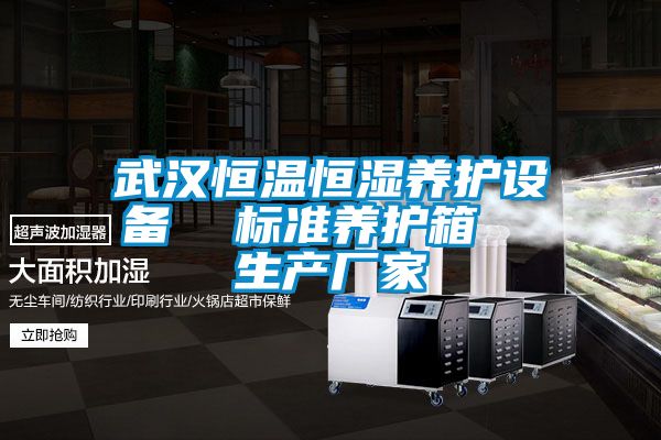 武漢恒溫恒濕養護設備 標準養護箱 生產廠家