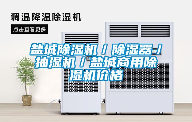 鹽城除濕機/除濕器/抽濕機/鹽城商用除濕機價格