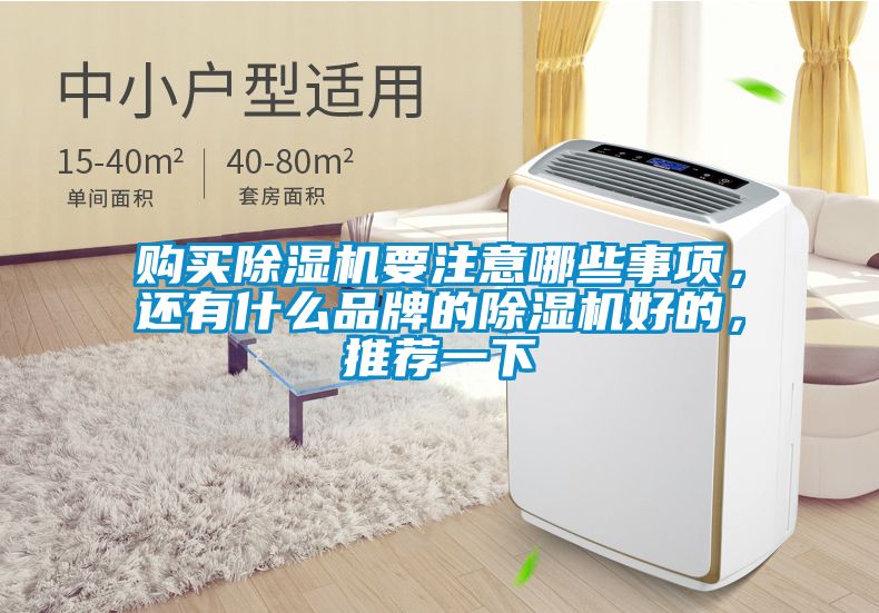 購買除濕機要注意哪些事項,還有什么品牌的除濕機好的,推薦一下