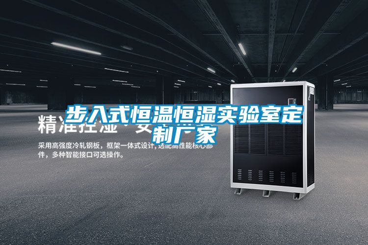 步入式恒溫恒濕實驗室定制廠家