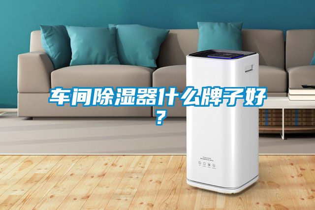 車(chē)間除濕器什么牌子好?