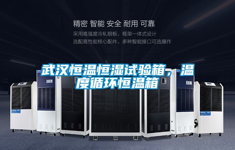 武漢恒溫恒濕試驗箱,溫度循環恒溫箱