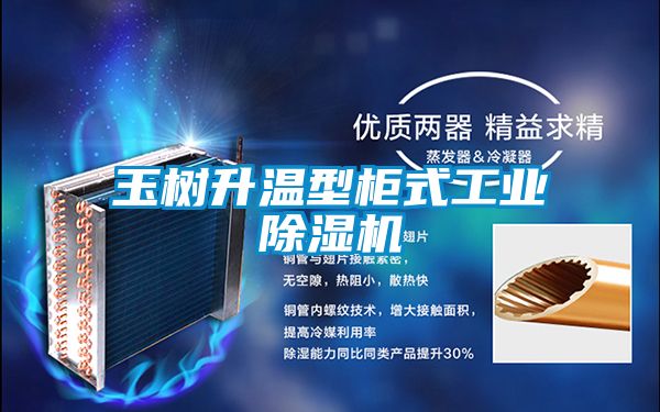 玉樹升溫型柜式工業除濕機