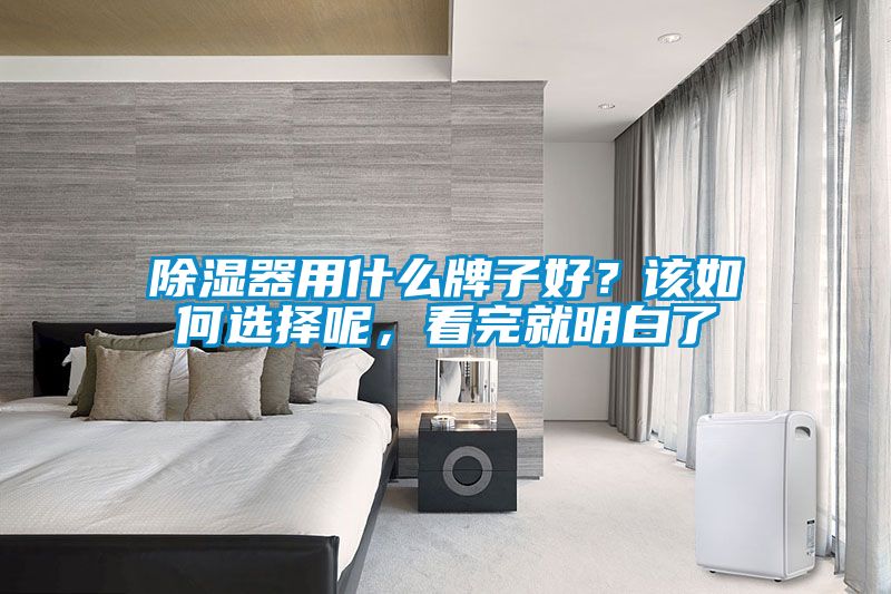 除濕器用什么牌子好?該如何選擇呢,看完就明白了