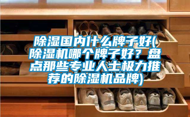 除濕國內(nèi)什么牌子好(除濕機哪個牌子好?盤點那些專業(yè)人士極力推薦的除濕機品牌)