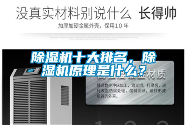 除濕機十大排名,除濕機原理是什么?