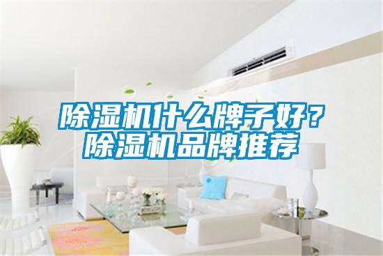 除濕機什么牌子好?除濕機品牌推薦