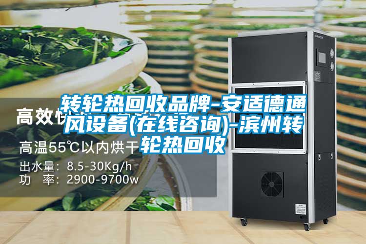 轉(zhuǎn)輪熱回收品牌-安適德通風設(shè)備(在線咨詢)-濱州轉(zhuǎn)輪熱回收