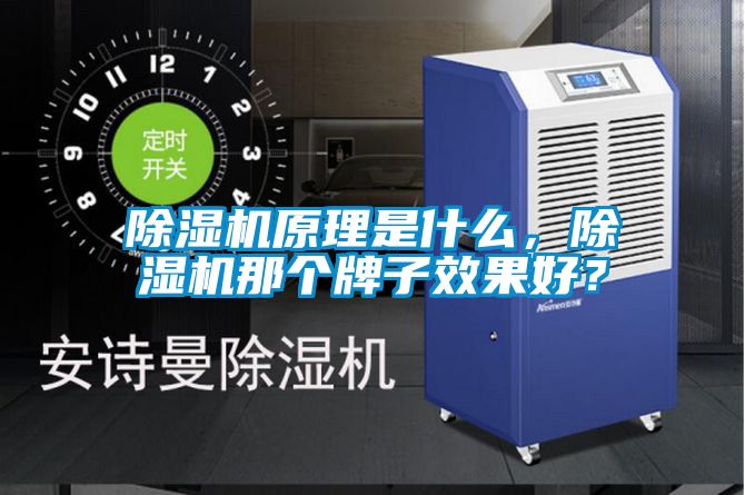 除濕機原理是什么,除濕機那個牌子效果好?