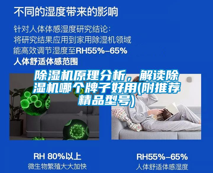 除濕機原理分析,解讀除濕機哪個牌子好用(附推薦精品型號)