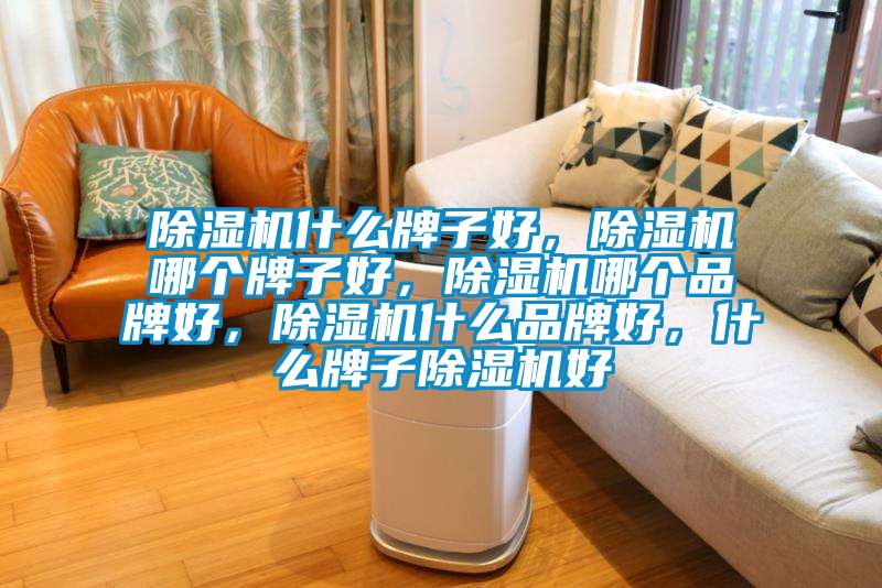 除濕機什么牌子好，除濕機哪個牌子好，除濕機哪個品牌好，除濕機什么品牌好，什么牌子除濕機好