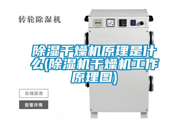 除濕干燥機原理是什么(除濕機干燥機工作原理圖)
