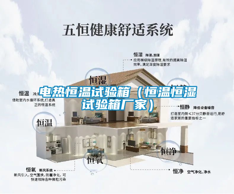 電熱恒溫試驗(yàn)箱(恒溫恒濕試驗(yàn)箱廠家)