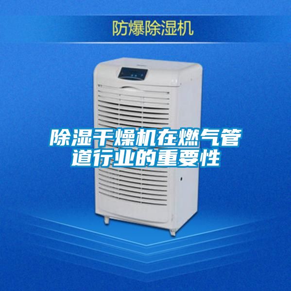 除濕干燥機在燃氣管道行業的重要性